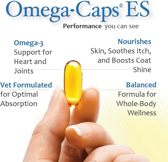 Omega Caps ES Extra Strength for Large and Giant Dogs Omega-3 and Omega-6 Fatty Acid Antioxidant Supplement Vet Formulated Made in USA Skin Coat Joint Heart and Immune Health 60 Softgel Capsules