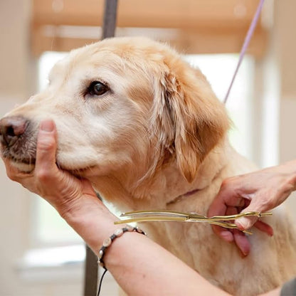 7" Downward Curved Dog Grooming Thinning Scissors for Grooming Face and Paws Safety Shears Trimming Cutting Shears for Dog Cat Pet Grooming Gold