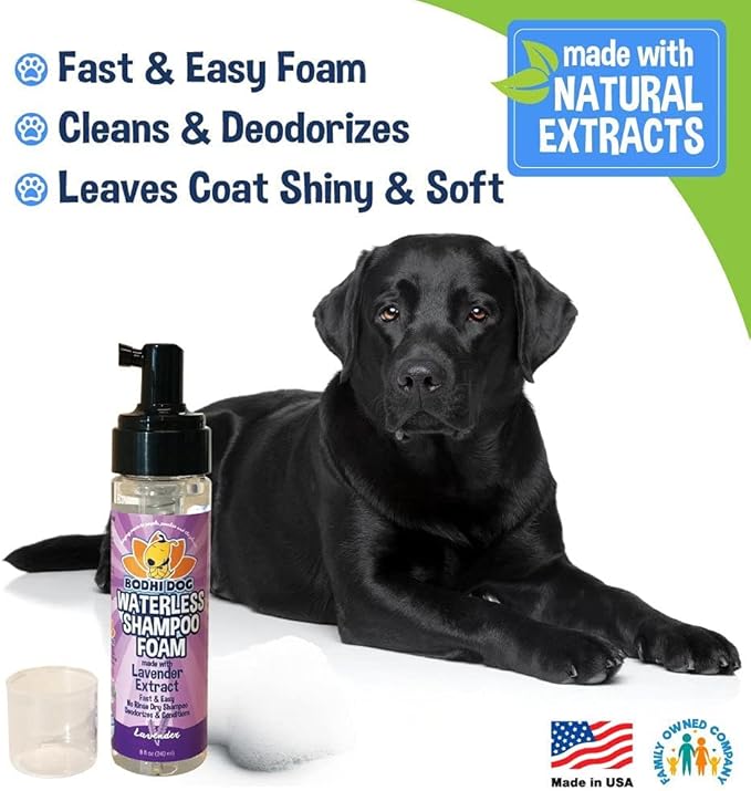 Bodhi Dog Waterless Shampoo - Natural Dry Shampoo for Dogs & Cats - Neutralizes Pet Odor - No Rinse Required - Made of Natural Extracts - Safe for Sensitive Skin - Made in USA - Lavender (8 Fl Oz)