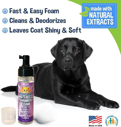 Bodhi Dog Waterless Shampoo - Natural Dry Shampoo for Dogs & Cats - Neutralizes Pet Odor - No Rinse Required - Made of Natural Extracts - Safe for Sensitive Skin - Made in USA - Lavender (8 Fl Oz)