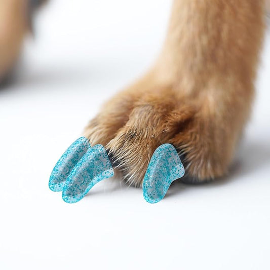 100pcs Dog Nail Caps Claw capsCover with Glue and Applicators (XXL: About. Weight: 40-70 pounds.)