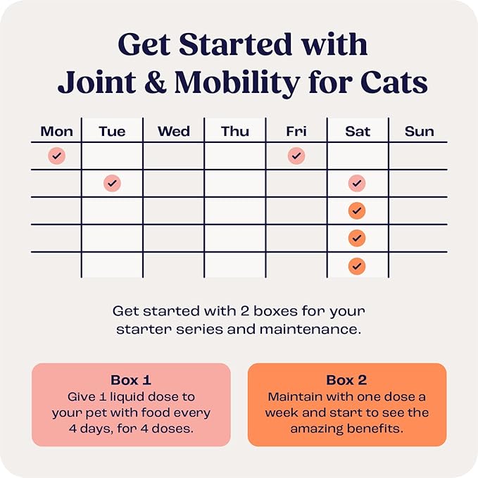 Summit Feline Pain Relief Supplement Inflammation Hip & Joint Support Vitamin for Cats - Natural Chrondroitin with Liposomal Delivery for Arthritis - Drug Free - All Ages