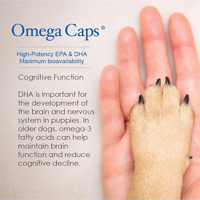 Omega Caps HP Snip Tips for Medium and Large Dogs High Potency EPA and DHA Maximum Bioavailability Fish Oil Supplement Vet Formulated Made in USA Skin Coat Joint and Heart Health 60 Capsules