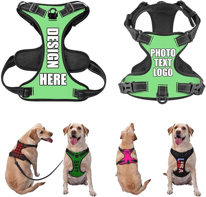 Personalized Dog Vests Customization for Puppy Medium Large Sized Dogs, Customize No Pull Dog Harnesses with Easy and Adjustable Wearing Buckles, LightGreen, S
