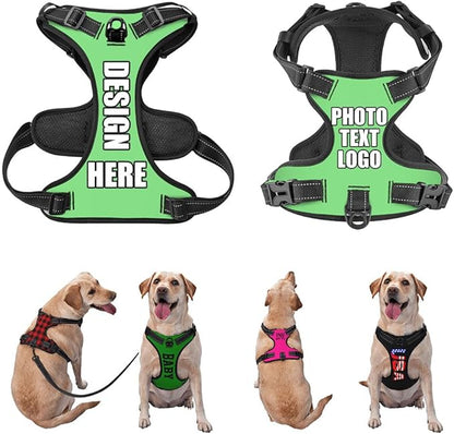 Personalized Dog Vests Customization for Puppy Medium Large Sized Dogs, Customize No Pull Dog Harnesses with Easy and Adjustable Wearing Buckles, LightGreen, S
