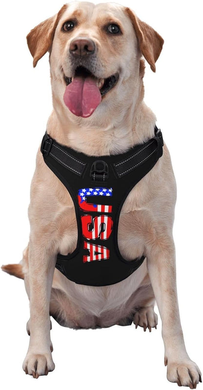 Custom Breathable Pet Chest Harness with Optional Leash, Customize No-Pull Dog Harnesses with Your Personalized Design, Personalize Pet Towing Vest with Mesh Fabric, Goldenrod, M