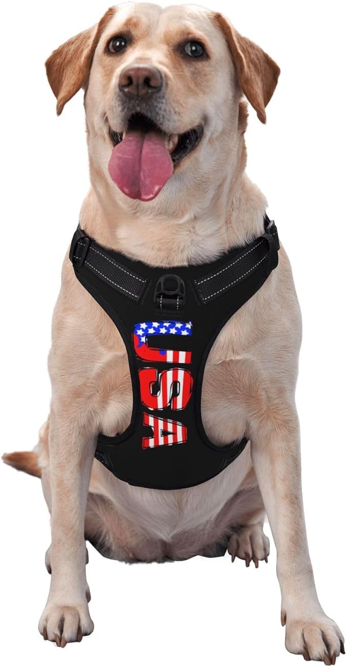 Personalized Dog Vests Customization for Puppy Medium Large Sized Dogs, Customize No Pull Dog Harnesses with Easy and Adjustable Wearing Buckles, LawnGreen, L