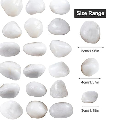 20Ib White River Rocks for Landscaping- High Polished Pebbles for Plants-Garden Decorative Stones-1-2 Large Plant Rocks,Ideal for Aquarium, Home Decor