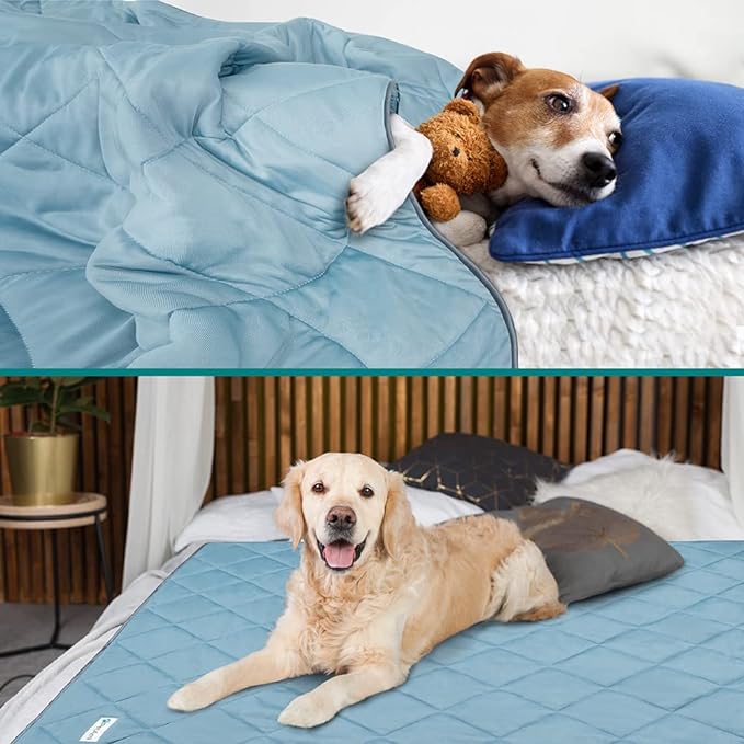 PetAmi Premium Cooling Dog Blanket | Lightweight Fluffy Pet Throw Blanket Bed Cover for Dogs, Cat, Puppies | Pet Blanket Furniture Protector Couch Sofa | Reversible Fuzzy Cozy | 90x90, Dusty Blue