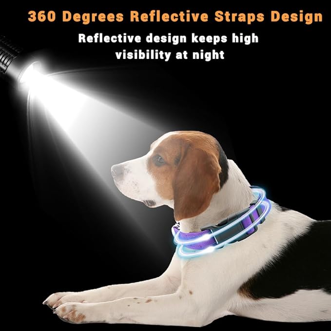 2 Pack Reflective Dog Collar with Safety Locking Buckle, Adjustable Soft Breathable Comfortable Nylon Pet Collar for Small, Medium and Large Dogs, Purple, Mini Small