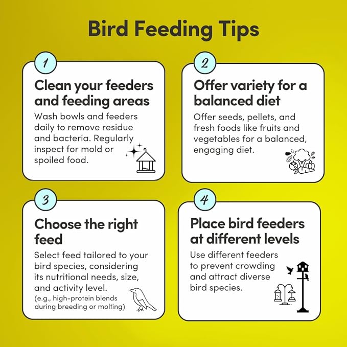 Mycelium Organic Cockatoo Plus Bird Seed (5 LB Bag) | Premium Bird Food for Cockatoos & Parrots | High-Protein, Vitamin-Fortified Daily Nutrition | Skin & Feather Support | Non-GMO, USA Made