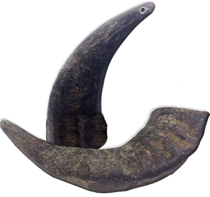2 Pack of Buffalo Hornz Medium Long Lasting 100% Natural Water Buffalo Horn Dog Chews