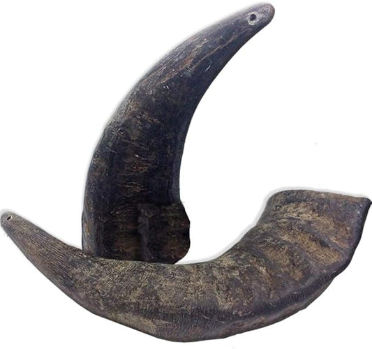2 Pack of Buffalo Hornz Medium Long Lasting 100% Natural Water Buffalo Horn Dog Chews
