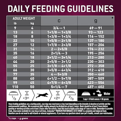 Eukanuba Premium Performance 21/13 Sprint Adult Dry Dog Food, 4.5 lb. Bag