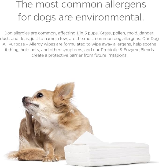 Pet Parents® Pet WiPees Dog All Purpose + Allergy Dog Wipes, Pet Wipes for Dogs, Puppy Wipes & Paw Wipes, Large Dog Wipes (100 Count (Pack of 4), Natural)
