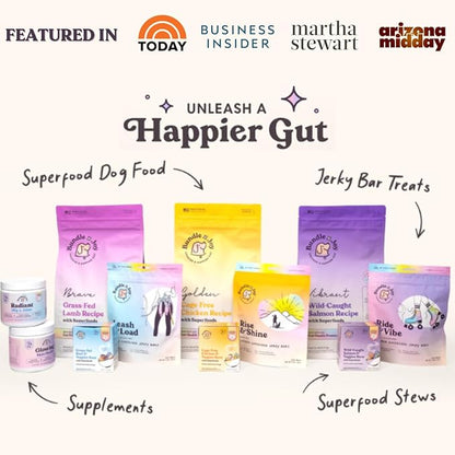 Bundle x Joy Radiant Hip and Joint Support Supplement for Dogs, 90 Soft Chews, Glucosamine Chondroitin for Dogs with Collagen, Turmeric, MSM, Colostrum, Helps Support Mobility and Flexibility