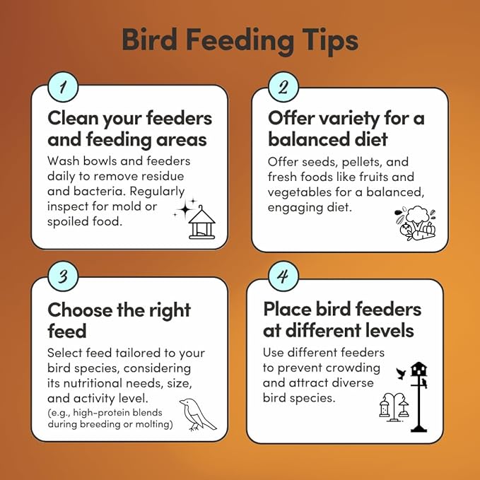 Mycelium Organic Rooster Plus Feed (5 LB Bag) | High-Protein Chicken Feed with Vitamin Support for Strength, Stamina & Gut Health | Natural Poultry Grain Blend with Fish Meal | Non-GMO, Made in USA