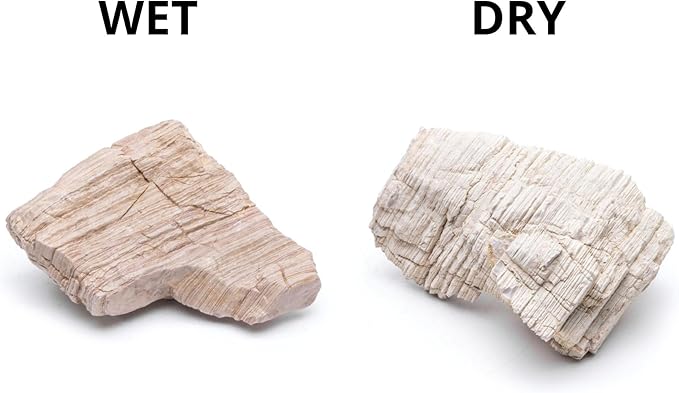 SubstrateSource Natural Stone for Aquarium, Terrarium, Paludarium, Reptile Enclosures - Set of Decorative Rocks for Landcapes, Aquascaping, Fish Tank Decor (Sand Stone, 10 Pounds, 3-7)