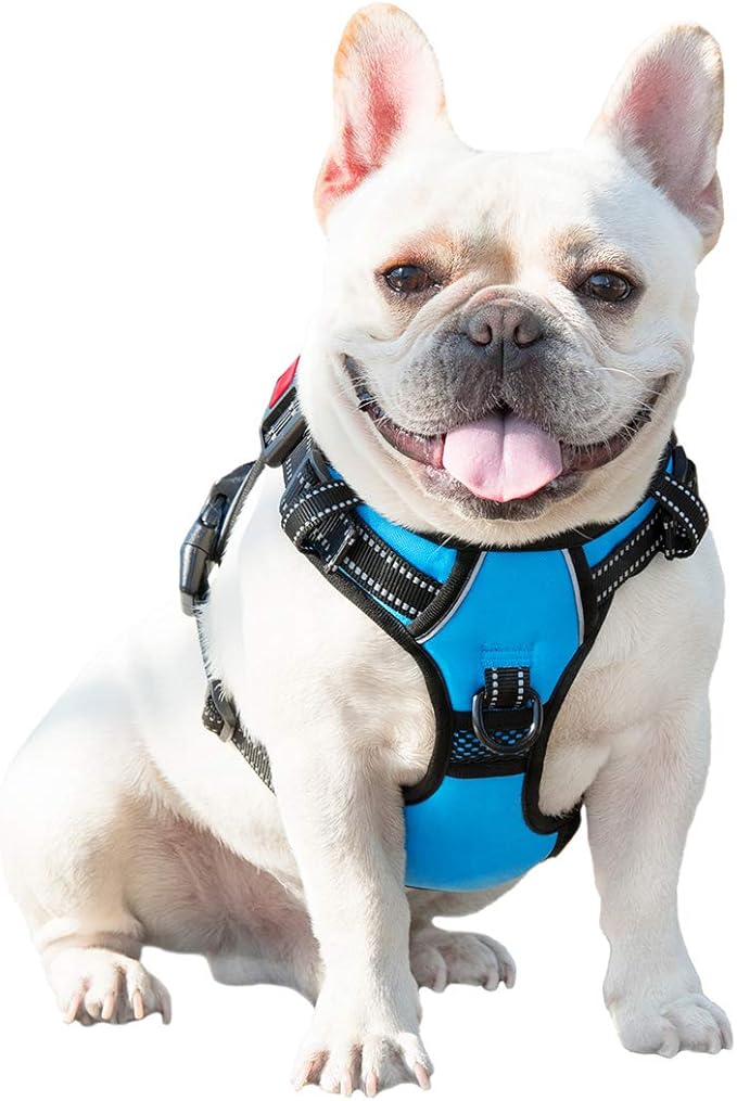 PHOEPET No Pull Dog Harnesses for Small Dogs Reflective Adjustable Front Clip Vest with Handle 2 Metal Rings 3 Buckles [Easy to Put on & Take Off](XS, Blue)