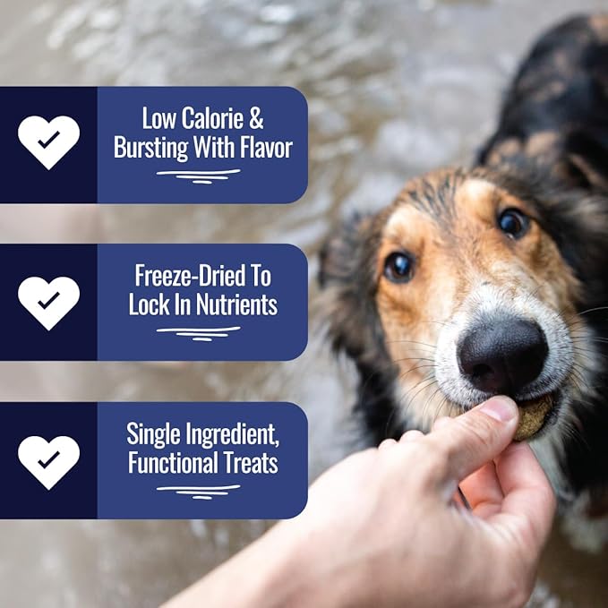 Smart Cookie Freeze Dried Beef Liver Bites - Single Ingredient Freeze Dried Beef Liver Dog Treats for Low Calorie Training Treats for Dogs or Dog Food Topper - Made in USA - 2oz Bag, 3 Pack