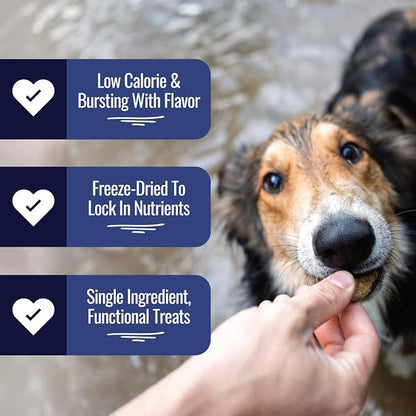 Smart Cookie Freeze Dried Beef Liver Bites - Single Ingredient Beef Liver Dog Treats - Low Calorie Training Treats for Dogs - 2oz Bag, 1 Pack