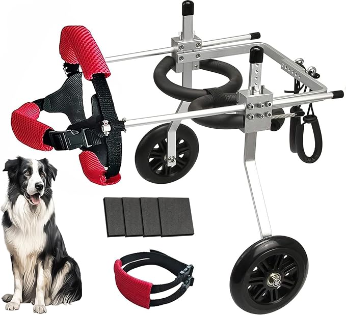 Dog Wheelchair for Back Legs Large Dog Carts with Wheels Adjustable Wheelchair for Dogs with Disabled Hind Legs Walking, with 4PCS Rear Leg Protection Pads (L)