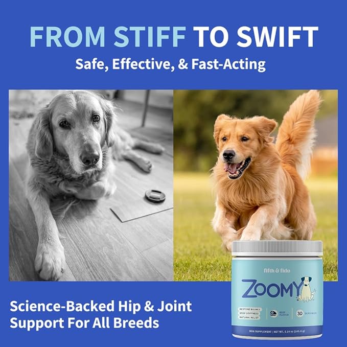 Dog Joint Supplement Powder with Glucosamine, Chondroitin & MSM  Hip & Joint Support for Mobility, Stiffness & Flexibility  Mushroom Blend with Lion_ Mane, Cordyceps & Reishi  Zoomy