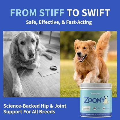 Dog Joint Supplement Powder with Glucosamine, Chondroitin & MSM  Hip & Joint Support for Mobility, Stiffness & Flexibility  Mushroom Blend with Lion_ Mane, Cordyceps & Reishi  Zoomy
