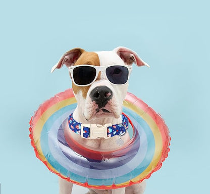 DOGWONG Cotton Dog Collar - Summer Popcile Soft Fabric Puppy Necklace for Small to Large Dogs - Blue Ice Cream Pattern