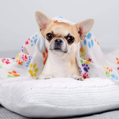 Comsmart Dog Blankets for Small Dogs, 6 Pack Puppy Blanket Cute Paw Print Pet Blanket for Dog, Puppy, Cat, Kitten, 24x28 inches, White