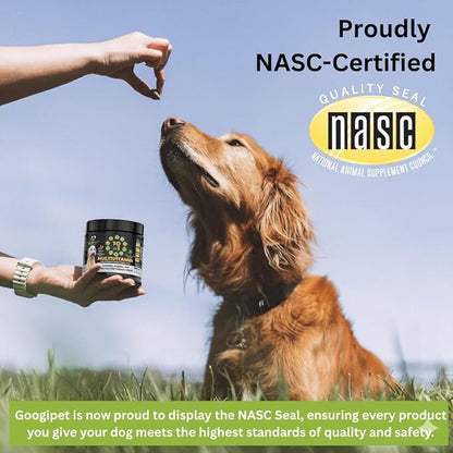 Googipet Premium 10 in 1 Dog Vitamins Multivitamin Chewable with Probiotics for Gut Health, Dog Vitamins and Supplements w/Vitamin C & Glucosamine for Joint Support (Peanut Butter & Pumpkin Flavor)