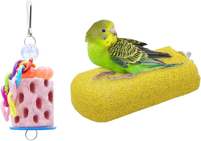 Wontee Bird Calcium Grinding Chewing Toys Bird Perch Stand for Cockatiels Conures Quaker Senegal Parrot, 2 Packs