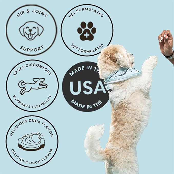 The Pets Table Hip & Joint Soft Chews Duck Flavored Mobility Supplement for Dogs, Joint Support Supplement with Glucosamine, 60 Chews for Healthy Joints and Mobility