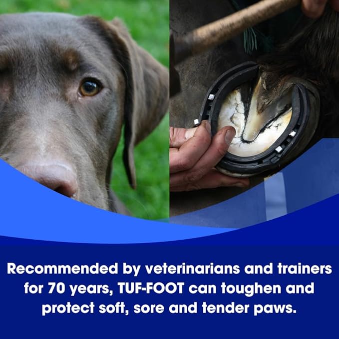 Dog Paw & Skin Protection Liquid – 7oz, 2-Pack | Veterinarian Recommended | Heals & Protects Paws, Hooves & Skin | Lick-Safe Paw Protector for Dogs Against Hot Pavement, Ice & Salt