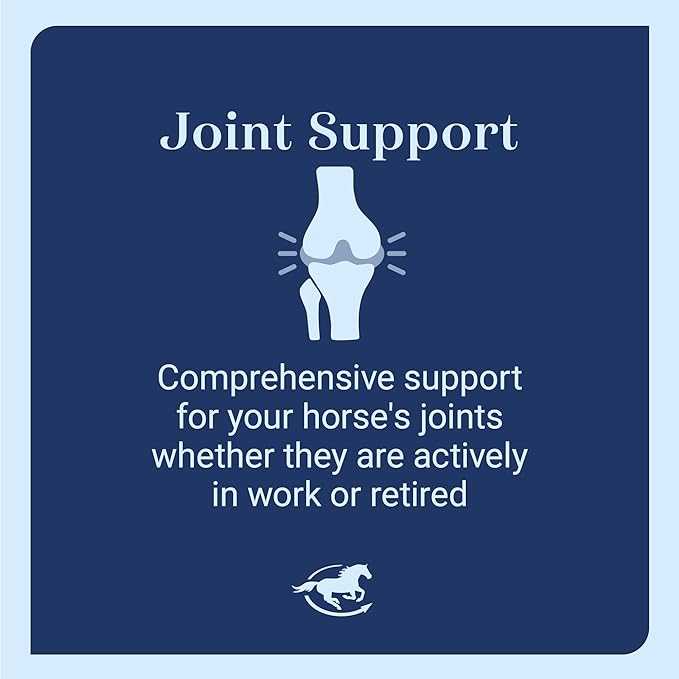 Leg Up Joint Pellets | Joint Support Supplement For Horses | Glucosamine Chondroitin Sulfate and Antioxidants Formula With No Added Sugar | Ideal For Light Work Horses | 45 Servings | 2 lb