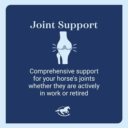 Leg Up Joint Pellets | Joint Support Supplement For Horses | Glucosamine Chondroitin Sulfate and Antioxidants Formula With No Added Sugar | Ideal For Light Work Horses | 45 Servings | 2 lb