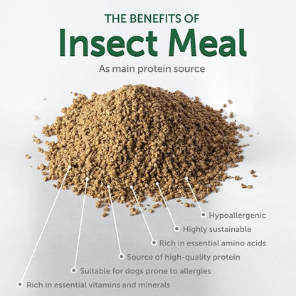 Nature's Protection Superior Care Grain Free Dry Dog Food - Healthy Dog Food All Life Stages Dogs - Balanced, Super Premium Dog Food - 1 Pack of 8.8lb Fish Flavor