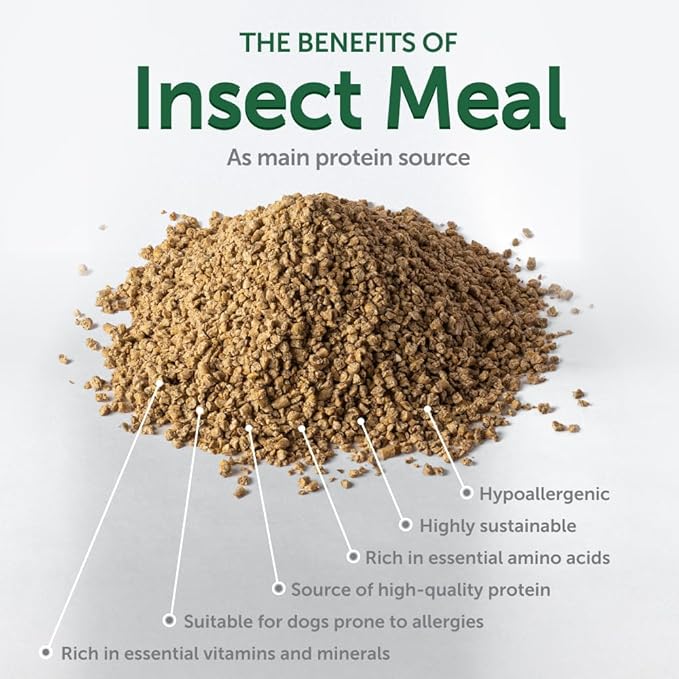 Nature's Protection Superior Care Grain Free Dry Dog Food - Healthy Dog Food All Life Stages Dogs - Balanced, Super Premium Dog Food - 1 Pack of 8.8lb Insect Flavor