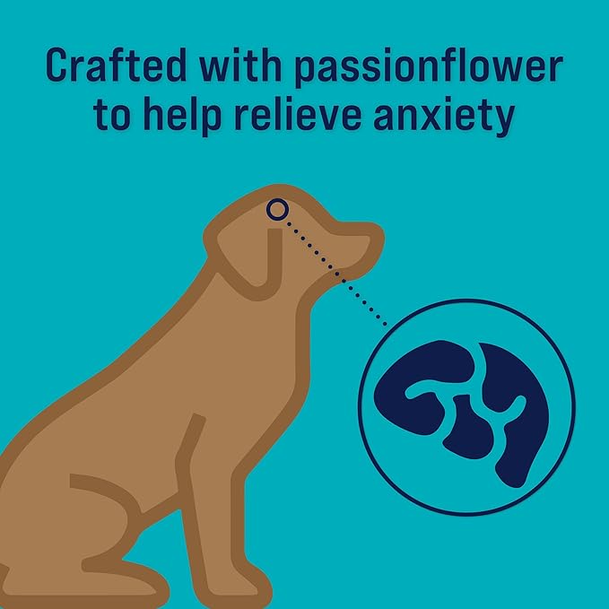 Stewart Freeze Dried Dog Treats, Zen Beef & Pumpkin, Anxiety Relief, Grain Free, 8 Ounce Resealable Pouch, Made in USA