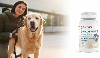 Glucosamine for Dogs  Hip & Joint Support Chewable Tablets with Collagen Type II, Chondroitin, MSM & Hyaluronic Acid  Veterinarian-Formulated  60 Count