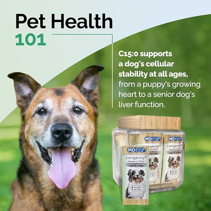 Yummy Combs Longevity15 – C15:0 – Fatty Acid Health Supplement for Dogs – Healthy Pet Supplies – for Medium Dogs, 3 Pack