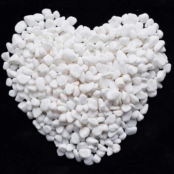 WAYBER 2 Lb/920g White Stones Decorative Pebble Rock Sand for Aquarium/Fish Turtle Tank/Vase Filler/Succulent Plants Decoration (Fill 2 Cups)