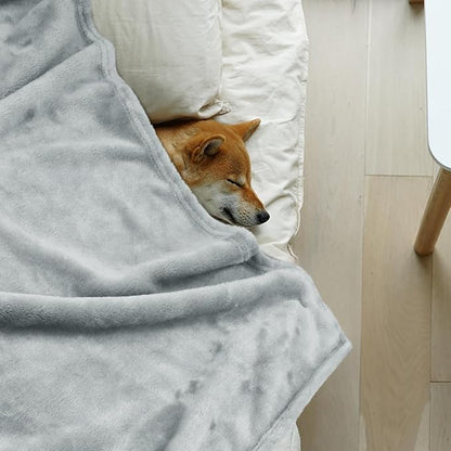 Onarway Dog Blanket Washable for Puppy: 4 Packs Dog Blankets 40”x28” - Fluffy Soft Small Throw for Cat Puppy Kitten Dogs - Fleece Pet Blankets for Bed Sofa Car and Indoor - Light Grey