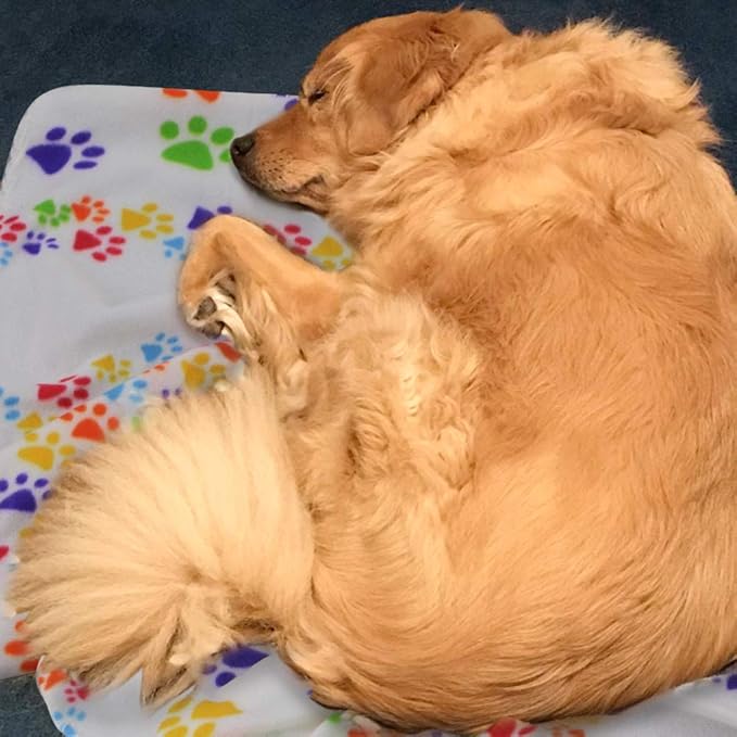 Comsmart Dog Blankets for Small Dogs, 6 Pack Puppy Blanket Cute Paw Print Pet Blanket for Dog, Puppy, Cat, Kitten, 39x35 inches, White