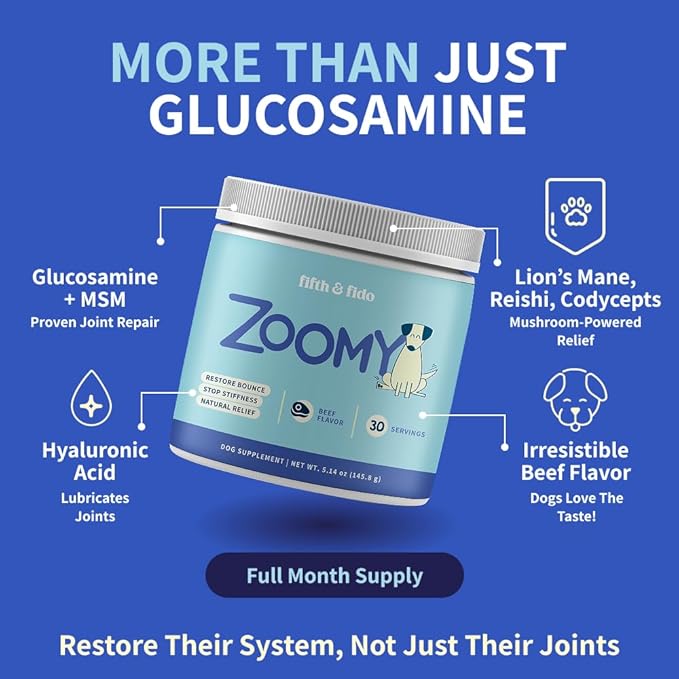 Dog Joint Supplement Powder with Glucosamine, Chondroitin & MSM  Hip & Joint Support for Mobility, Stiffness & Flexibility  Mushroom Blend with Lion_ Mane, Cordyceps & Reishi  Zoomy