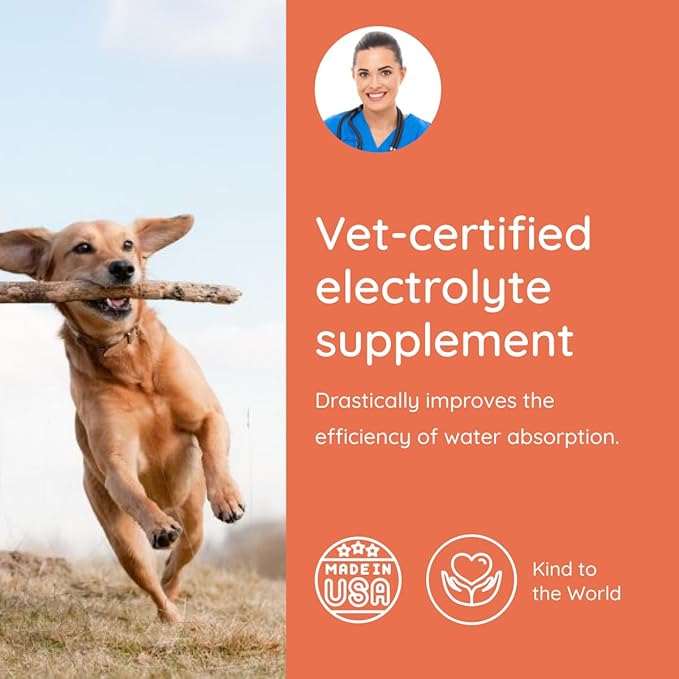 Petralyte Dog Electrolytes and Joint Supplement | Hydration Support for Dogs w/Glucosamine, Chondroitin & More | Electrolytes for Dogs with Prebiotics | for Chicken Lovers | 16 Packets