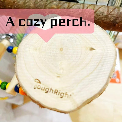 Natural Wood Bird Perch Playground for Outside the Cage Wall, Bird Platform and Play Area for Small to Medium Parrots like Cockatiels, Conures, Parrotlets, Lovebirds, and Budgies, Bird Cage Accessory