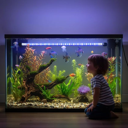 Dirvin 11inch Submersible Aquarium LED Light for Fish Tank, 24/7 Cycle Fish Tank Light with Timer, 15 LED Beads 3 Colors 3 Modes Brightness Adjustable, 5.5W