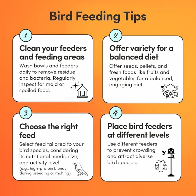 Mycelium Organic Finch & Sparrow Wild Bird Food (5 LB Bag) | Premium Seed Mix for Songbirds | Balanced Energy & Nutrition | Sifted, Low-Waste, Made in USA