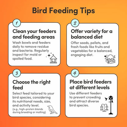 Mycelium Organic Finch & Sparrow Wild Bird Food (5 LB Bag) | Premium Seed Mix for Songbirds | Balanced Energy & Nutrition | Sifted, Low-Waste, Made in USA